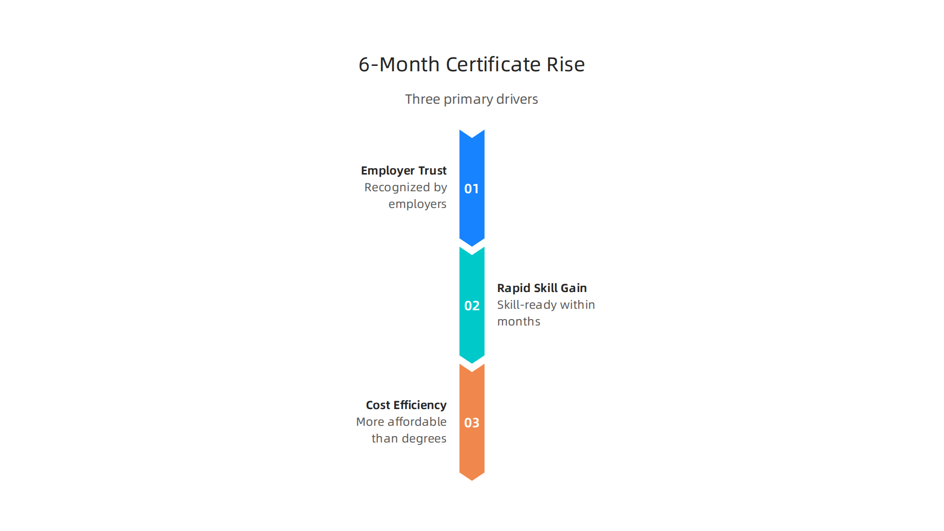 This infographic illustrates the three primary drivers behind the increasing popularity of 6-month certificate programs: employer trust, rapid skill acquisition, and cost-effectiveness.