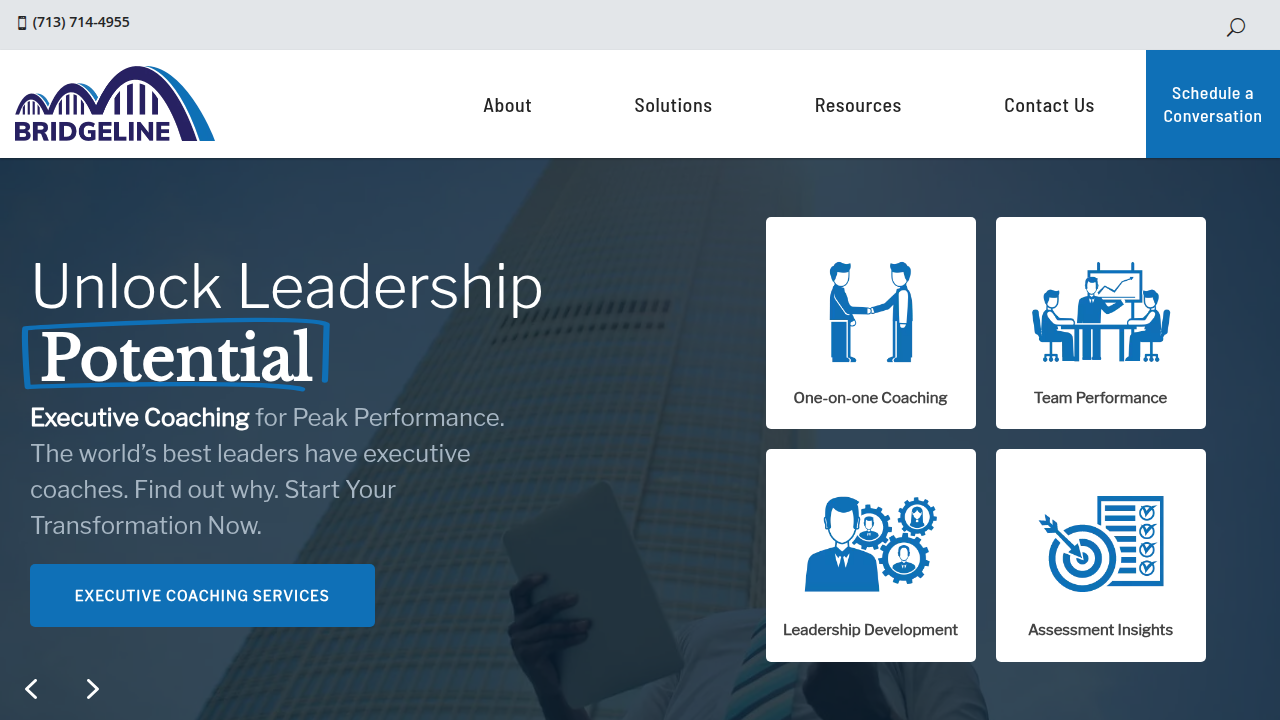 Screenshot of the Bridgeline Coaching website, a resource discussing cognitive bias and its impact on decision-making.
