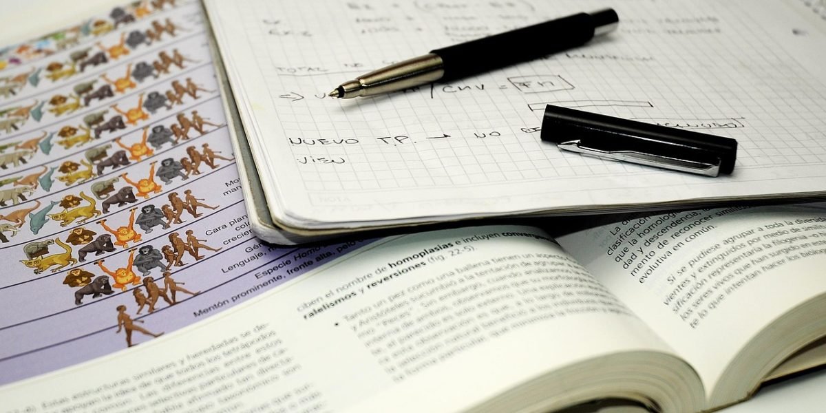 A confident student calmly working on an exam, reflecting the positive outcome of effective test preparation and critical thinking skills.